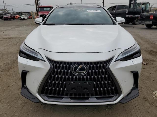  LEXUS NX 350H BA 2024 Белы