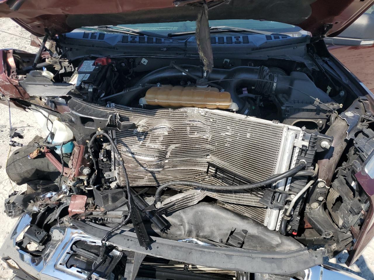 2017 Ford F150 Supercrew VIN: 1FTEW1CP1HKD23556 Lot: 67136115