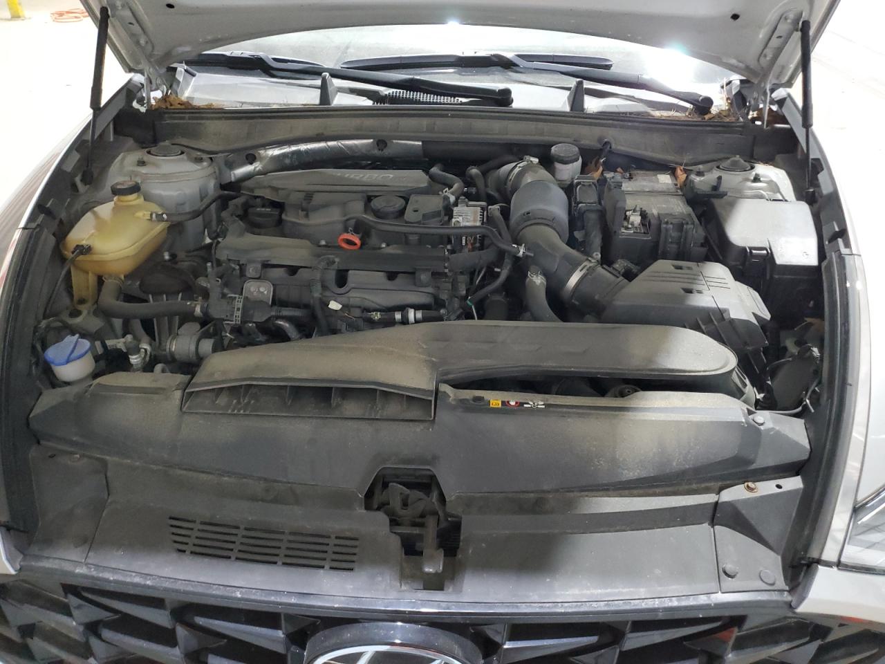 2021 Hyundai Sonata Limited VIN: 5NPEH4J2XMH100203 Lot: 64049265