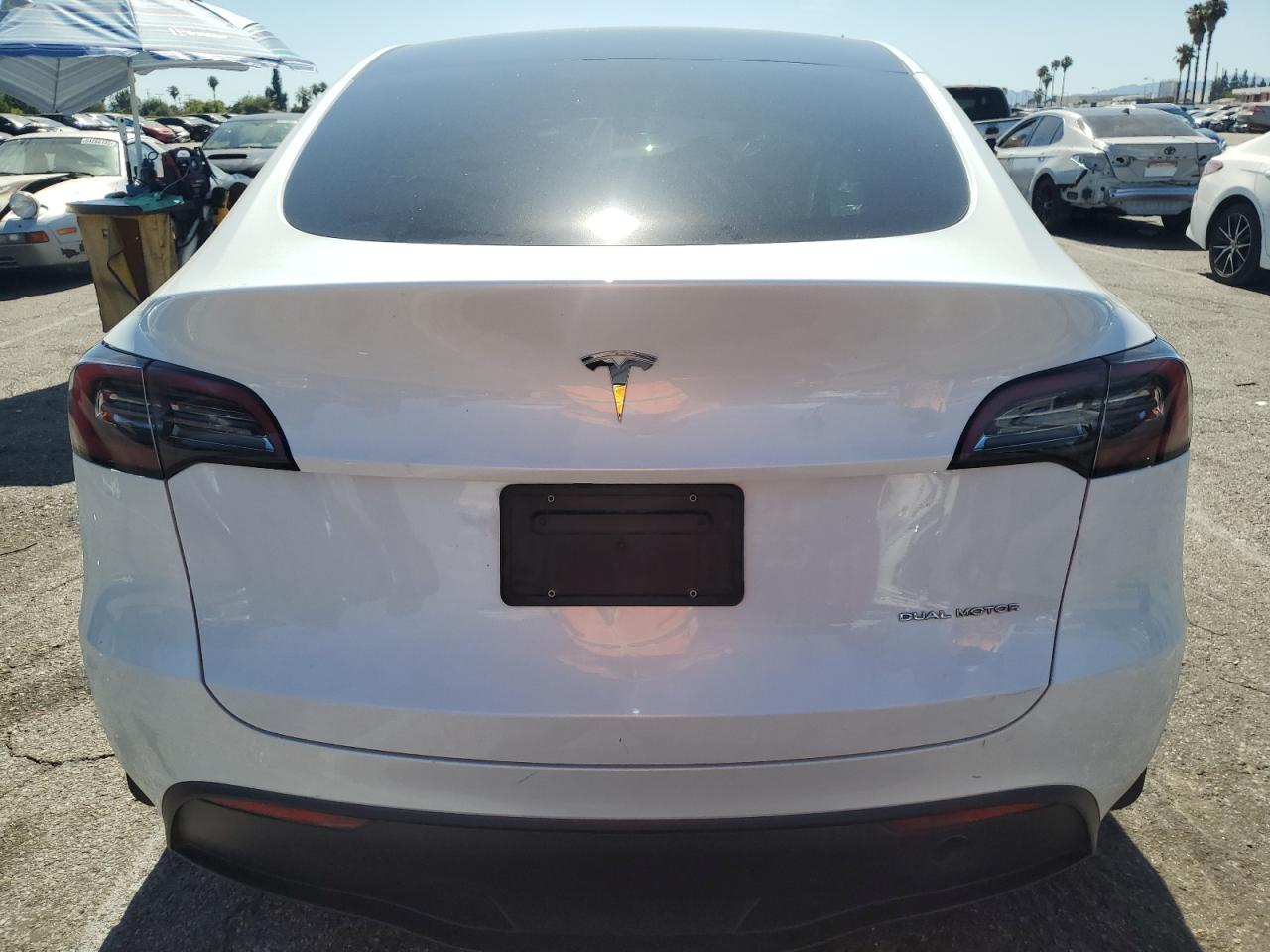 2023 Tesla Model Y VIN: 7SAYGDEE8PA118996 Lot: 64296955