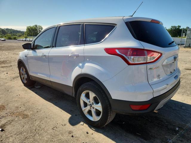  FORD ESCAPE 2014 Biały