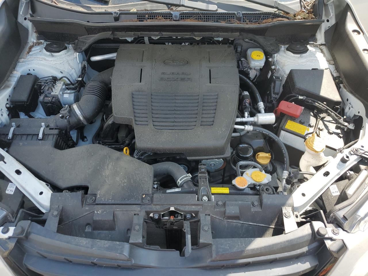 2024 Subaru Forester Touring VIN: JF2SKAMC4RH455818 Lot: 62924915