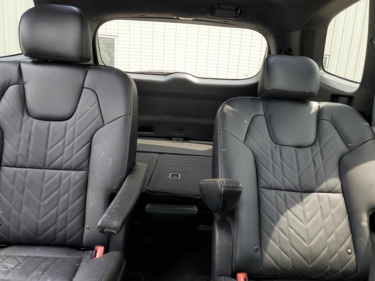 2024 Kia Telluride Sx VIN: 5XYP5DGC9RG449952 Lot: 64617155
