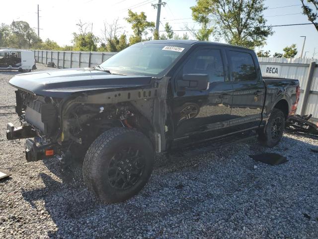 2024 Ford F150 Xlt