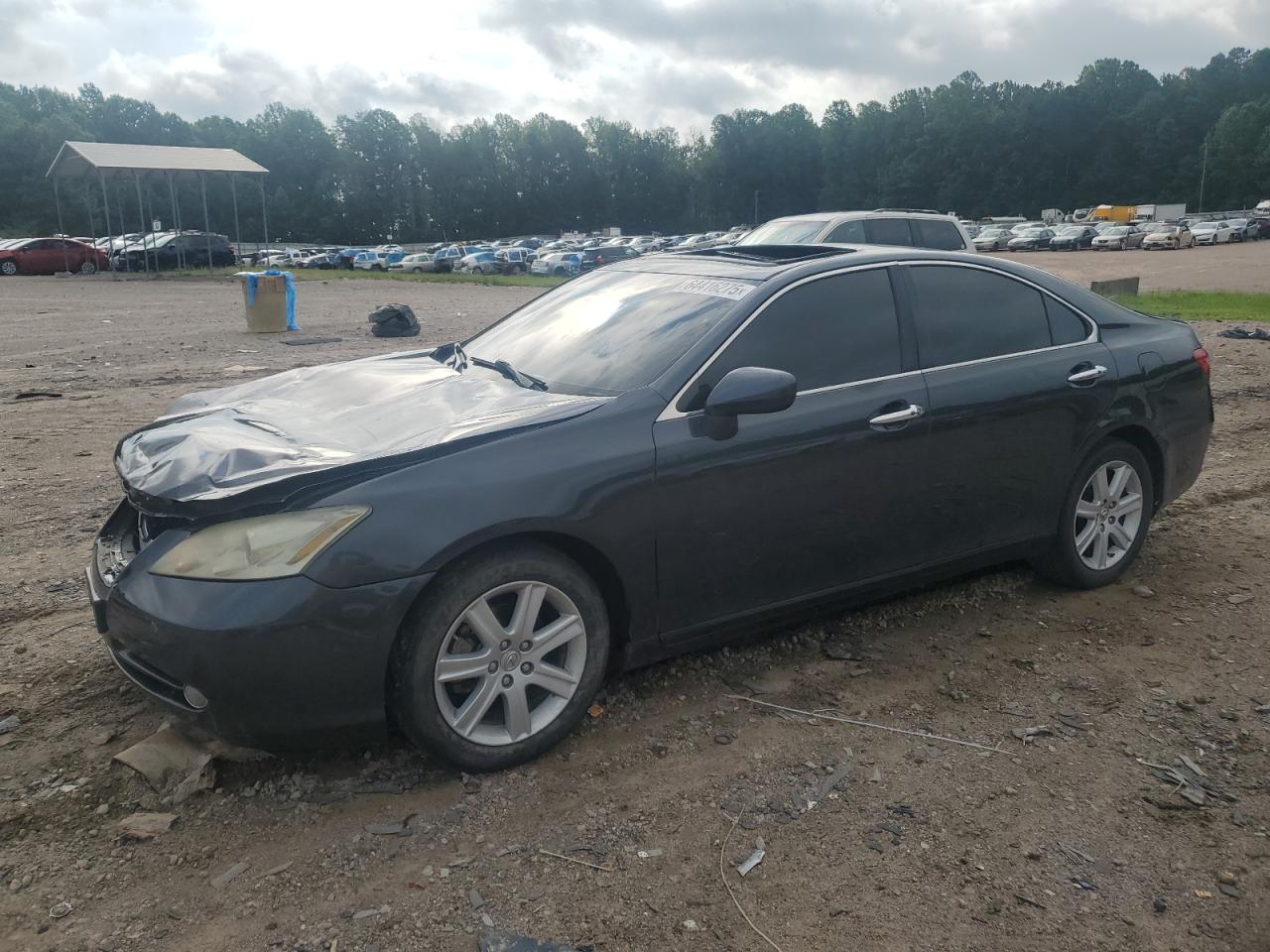 2009 Lexus Es 350 VIN: JTHBJ46G892286780 Lot: 64416275