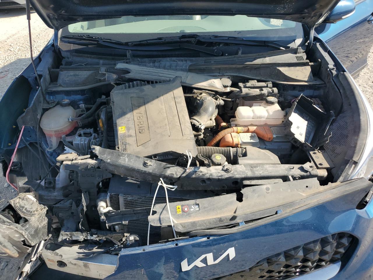 2022 Kia Niro Touring Special Edition VIN: KNDCC3LC3N5522028 Lot: 64313225