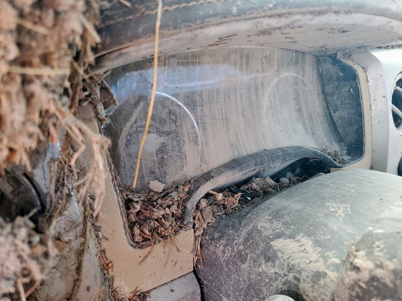 2014 Ford F150 Supercrew VIN: 1FTFW1EF9EKF15506 Lot: 66395795