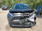 2023 TOYOTA RAV4 XLE   à vendre chez Copart ON - COOKSTOWN
