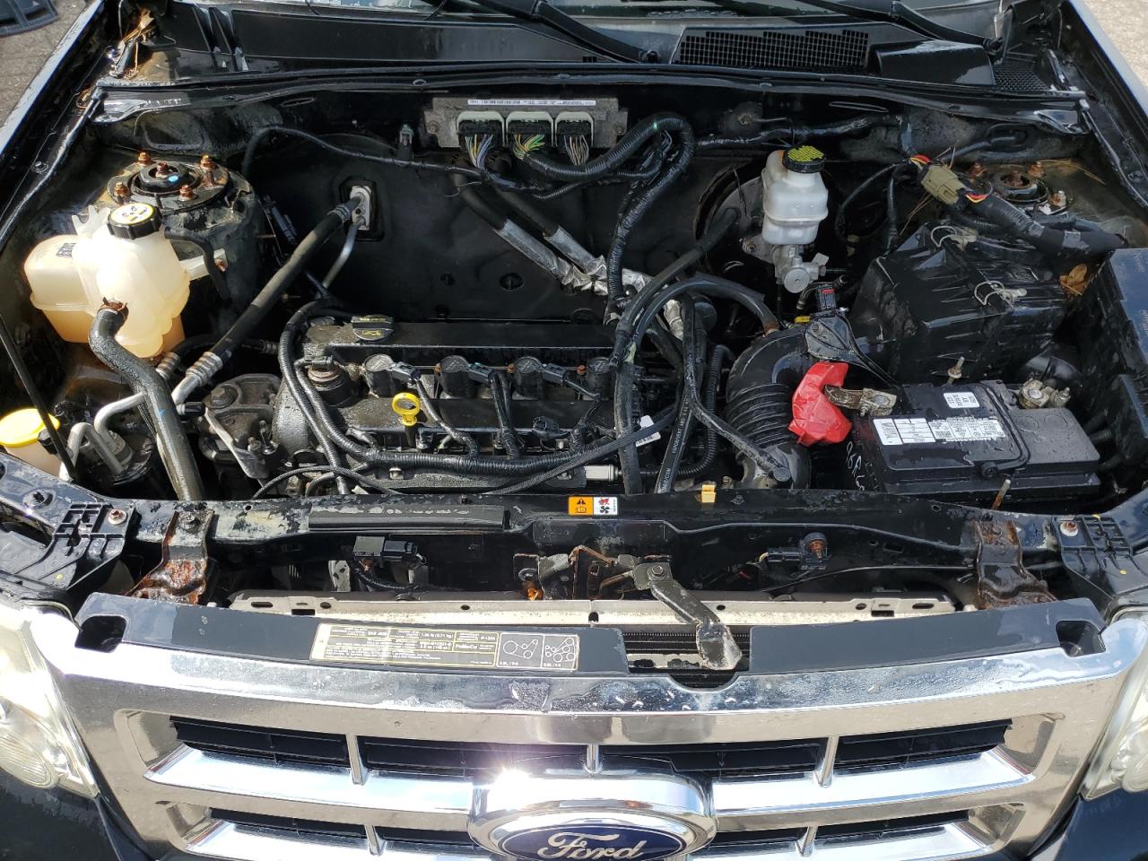 2011 Ford Escape Xlt VIN: 1FMCU0D73BKB56271 Lot: 65601935