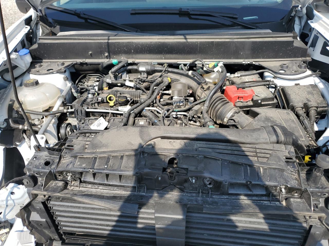 2024 Ford Maverick Xl VIN: 3FTTW8B95RRA33949 Lot: 64364435
