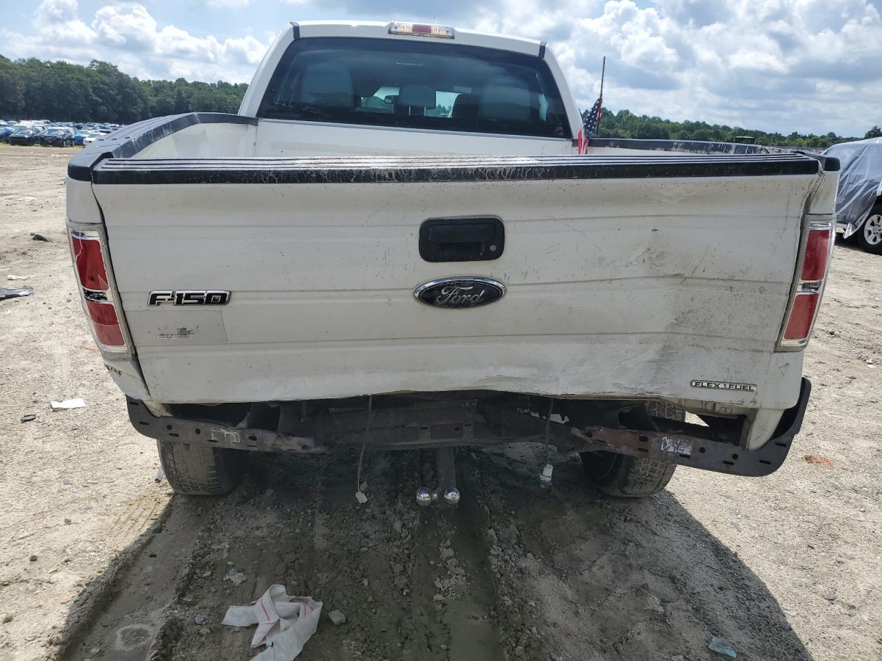 2013 Ford F150 Super Cab VIN: 1FTFX1CF5DKG34619 Lot: 65153865