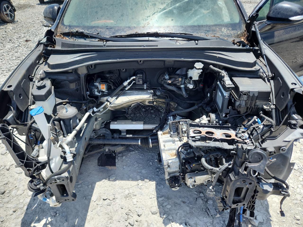 2020 Hyundai Santa Fe Sel VIN: 5NMS33AD7LH197692 Lot: 63808075