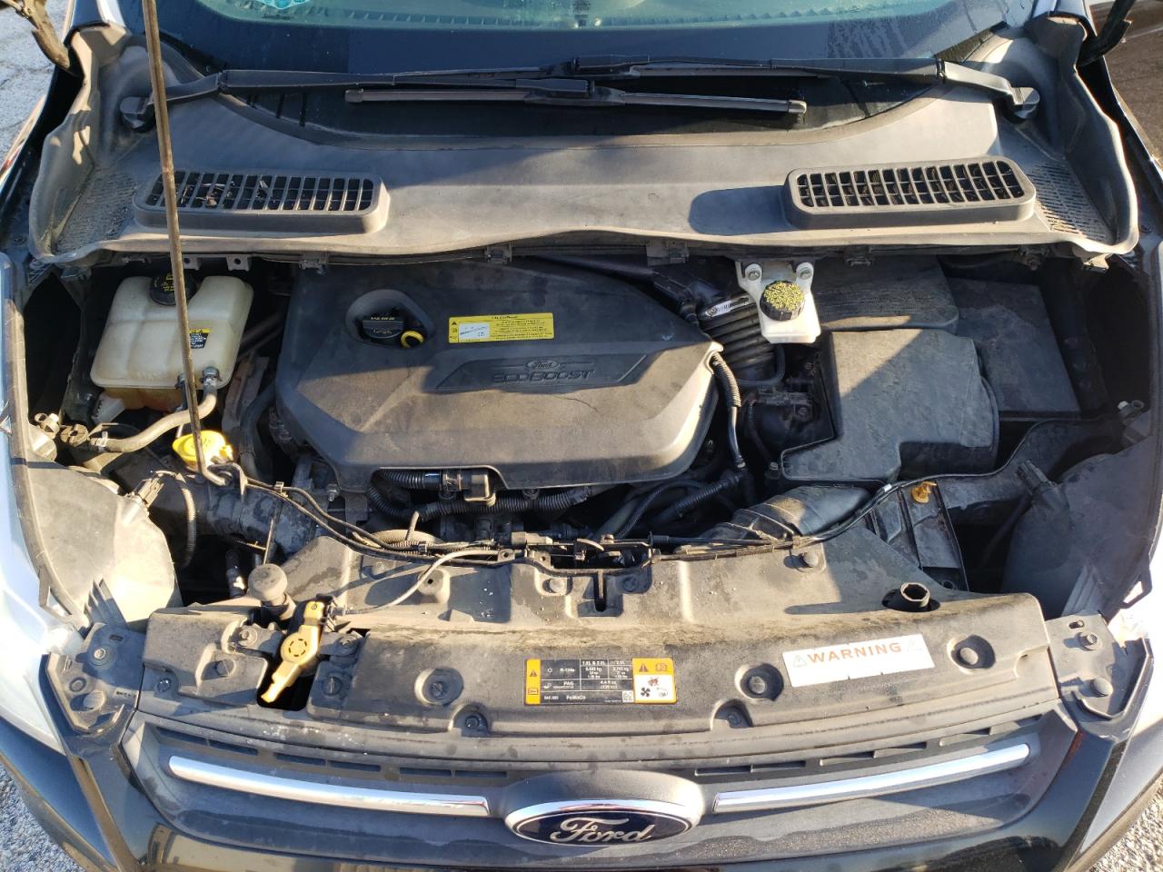 2013 Ford Escape Se VIN: 1FMCU0GX7DUC59714 Lot: 64600865