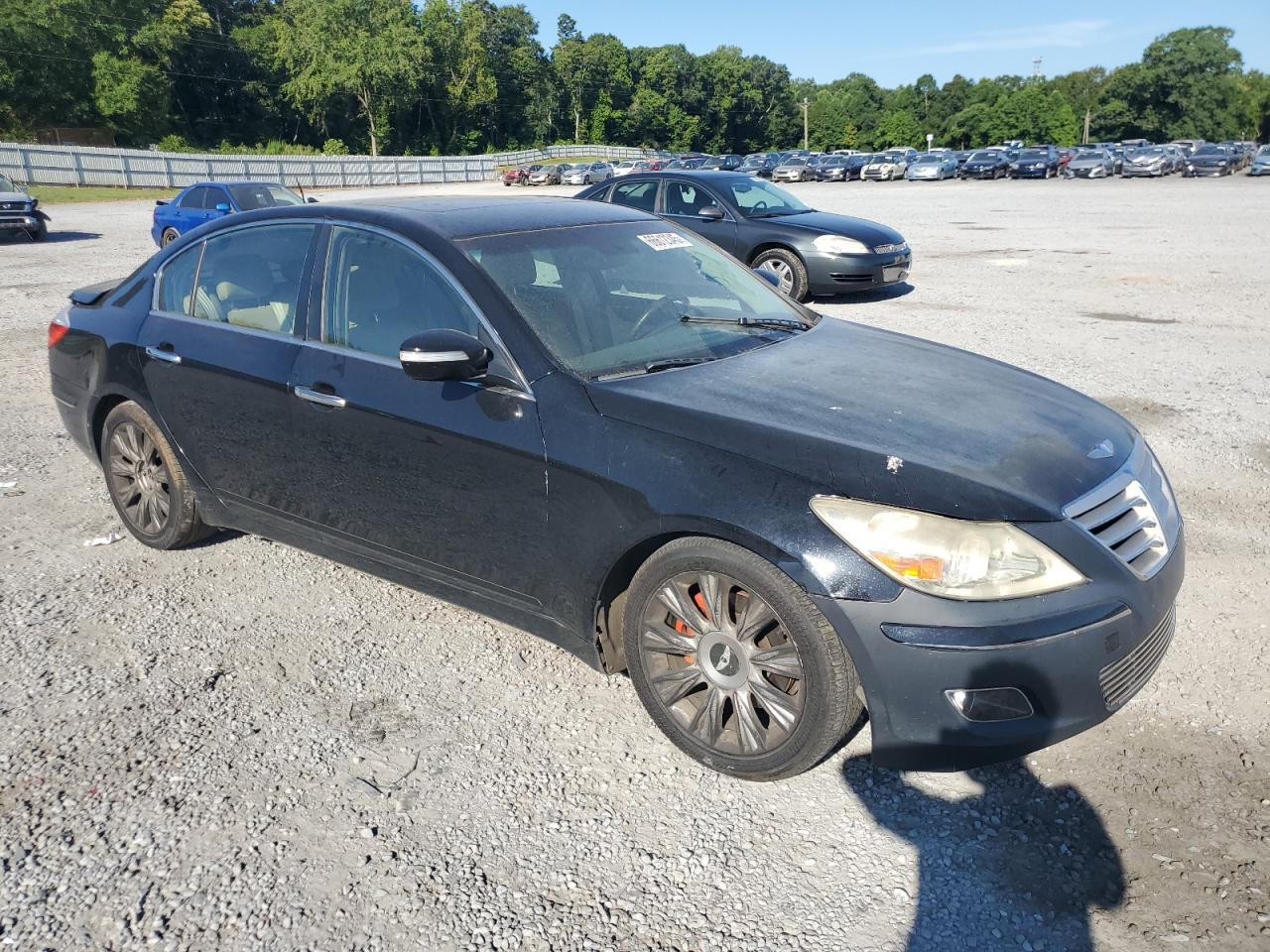 2009 Hyundai Genesis 3.8L VIN: KMHGC46E79U051206 Lot: 66612345