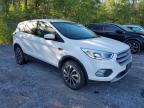 2017 FORD ESCAPE SE   à vendre chez Copart ON - COOKSTOWN
