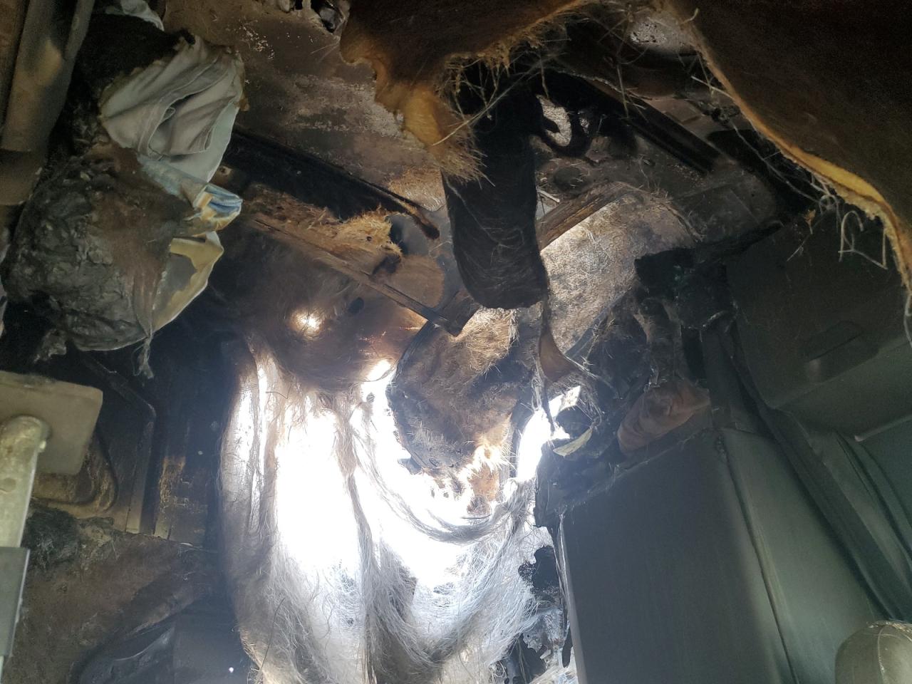 2020 Freightliner Cascadia 126 Semi Truck VIN: 3AKJHHDR9LSLX7608 Lot: 63015565