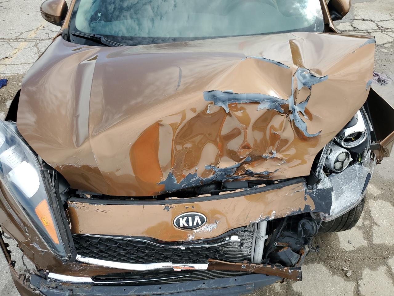 2020 Kia Sportage Lx VIN: KNDPMCACXL7789539 Lot: 65565005