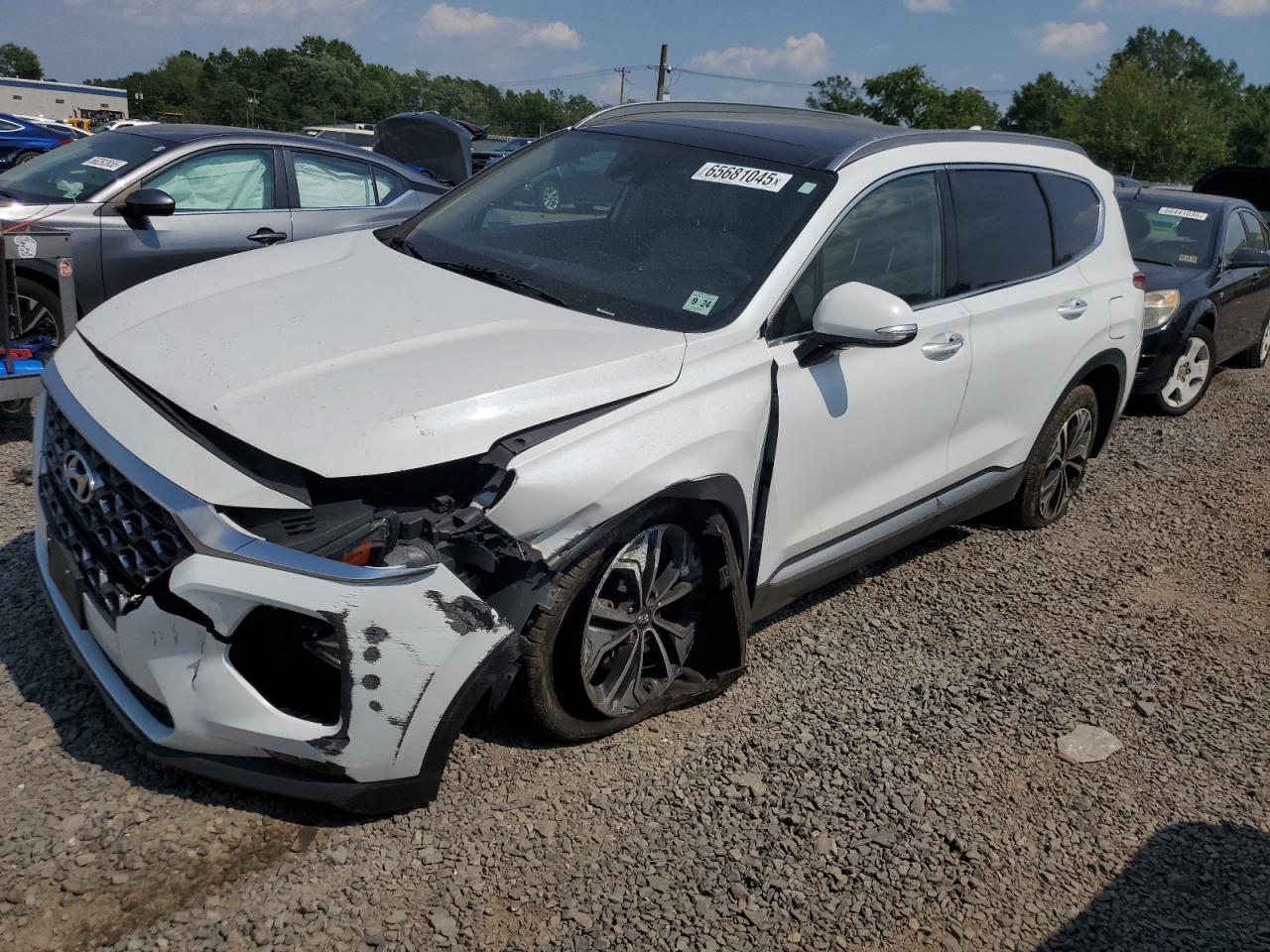 2019 Hyundai Santa Fe Limited VIN: 5NMS53AA6KH064890 Lot: 65681045