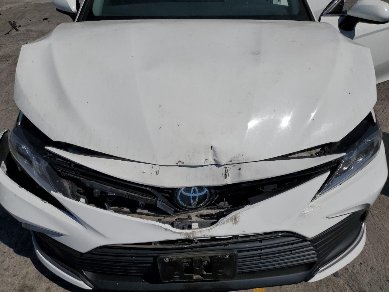 2021 Toyota Camry Le VIN: 4T1C11AK7MU439769 Lot: 65160955