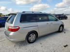 2005 HONDA ODYSSEY EX   à vendre chez Copart TX - WACO