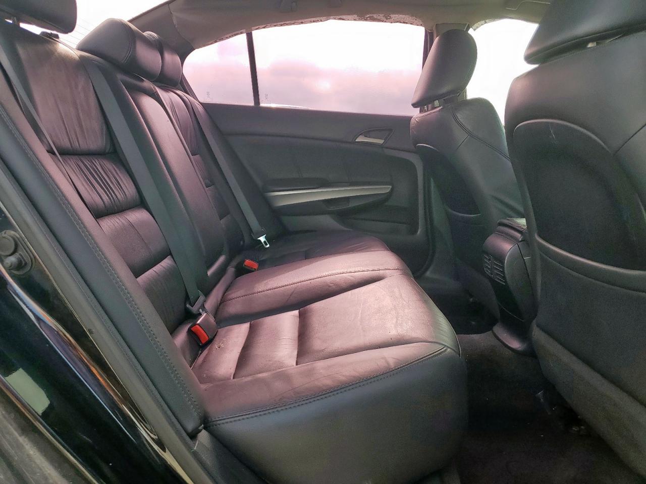 2010 Honda Accord Exl VIN: 1HGCP3F87AA011484 Lot: 65172095
