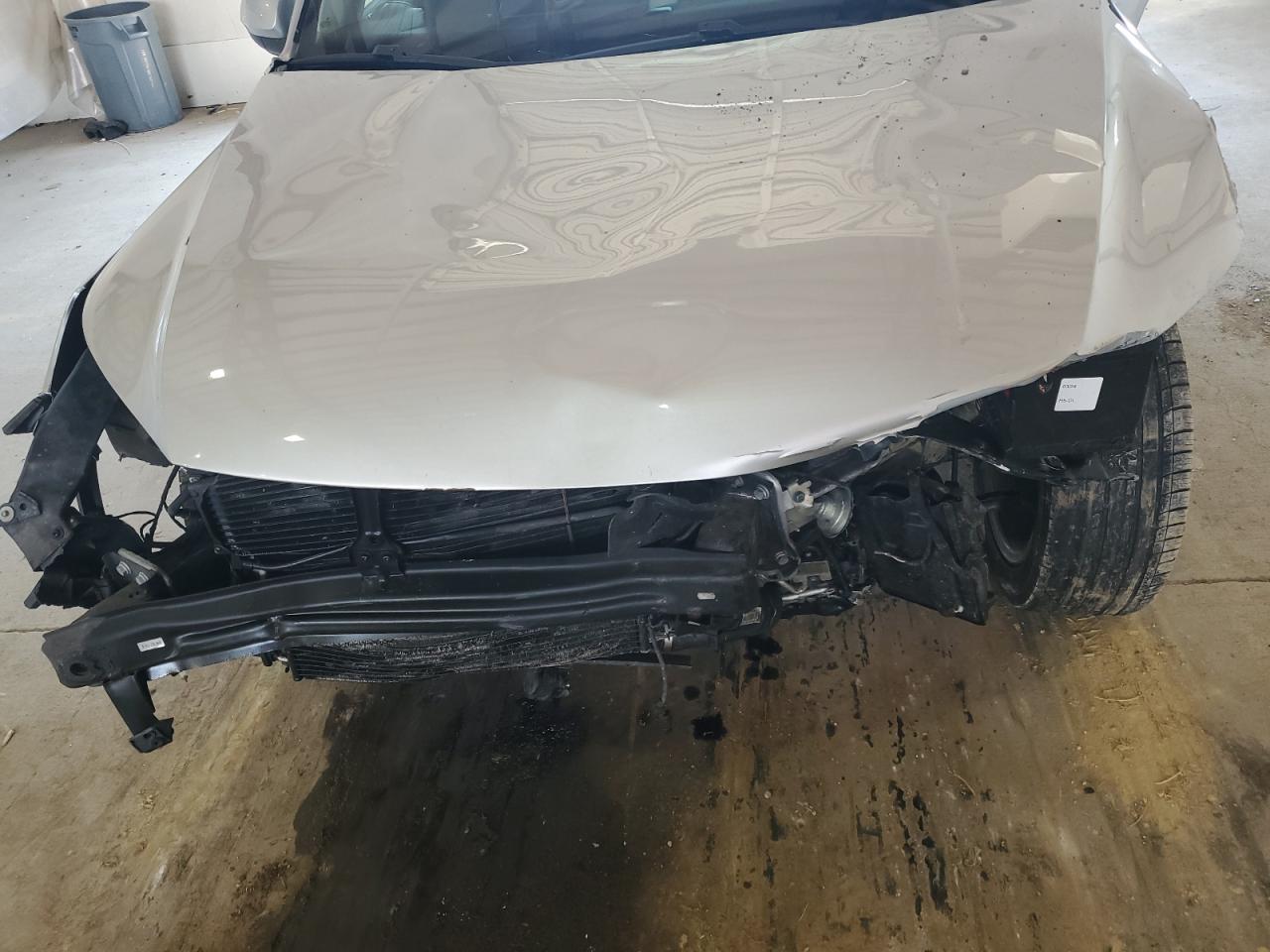 2009 Volkswagen Tiguan Se VIN: WVGBV75N19W543919 Lot: 62769355