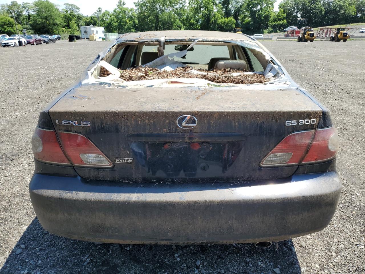 2002 Lexus Es 300 VIN: JTHBF30G020080973 Lot: 64981305
