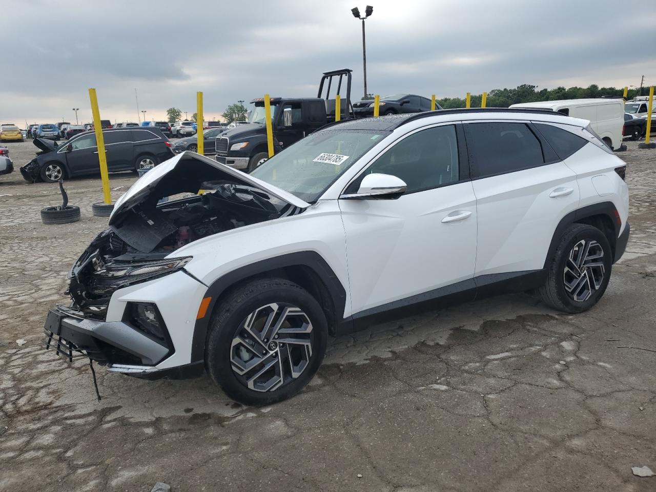 km8jedd19su267919 KM8JEDD19SU267919 2025 Hyundai Tucson Limited