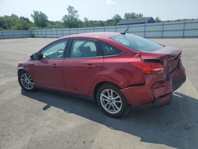 FORD FOCUS 2016 Red