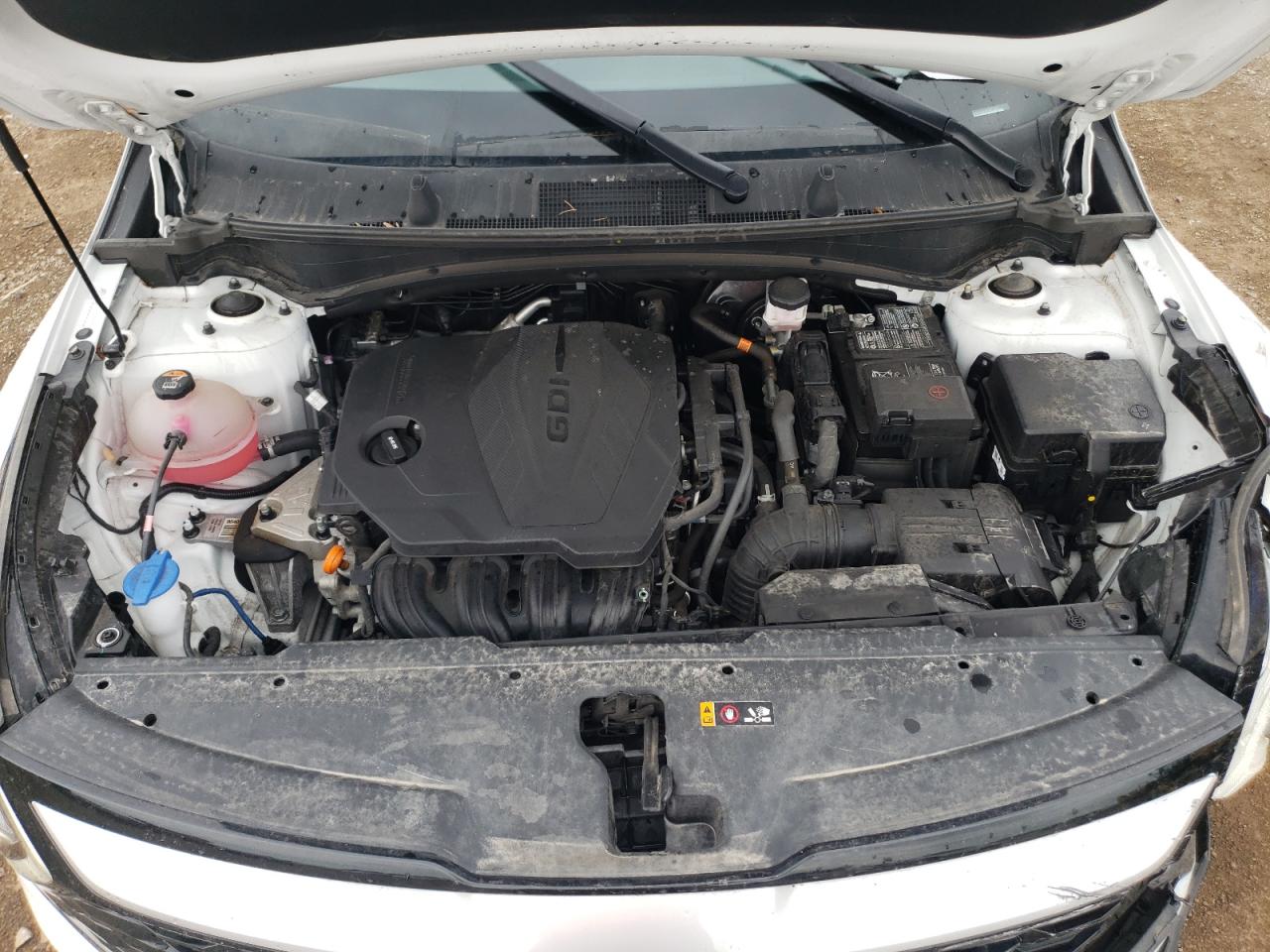 2023 Kia Sportage Ex VIN: 5XYK33AF8PG045003 Lot: 66770915