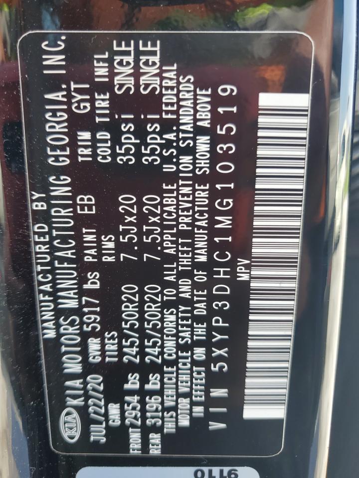 2021 Kia Telluride Ex VIN: 5XYP3DHC1MG103519 Lot: 64229695