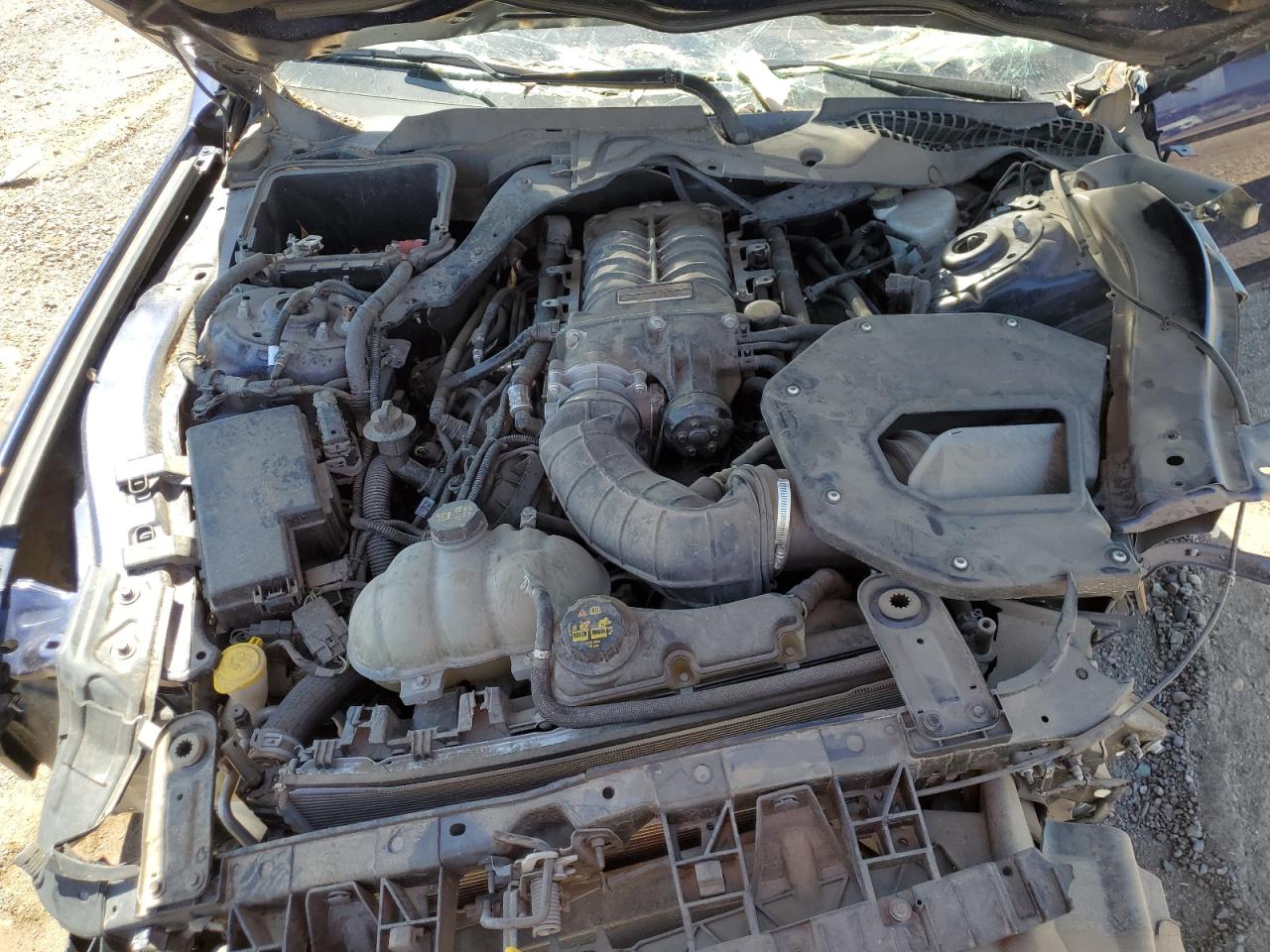 2019 Ford Mustang Gt VIN: 1FA6P8CF0K5130487 Lot: 66893835