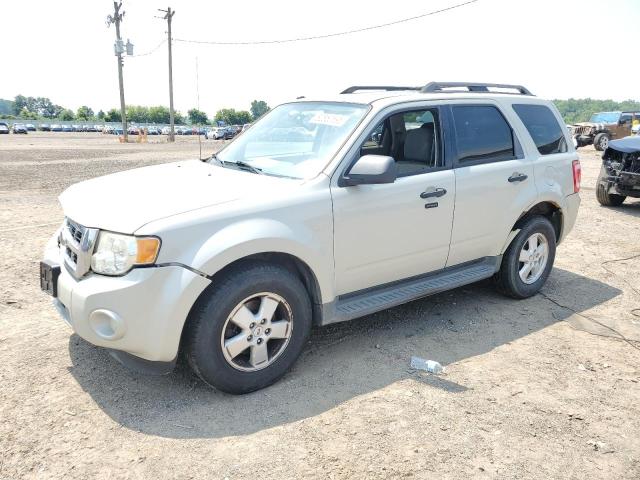 2009 Ford Escape Xlt