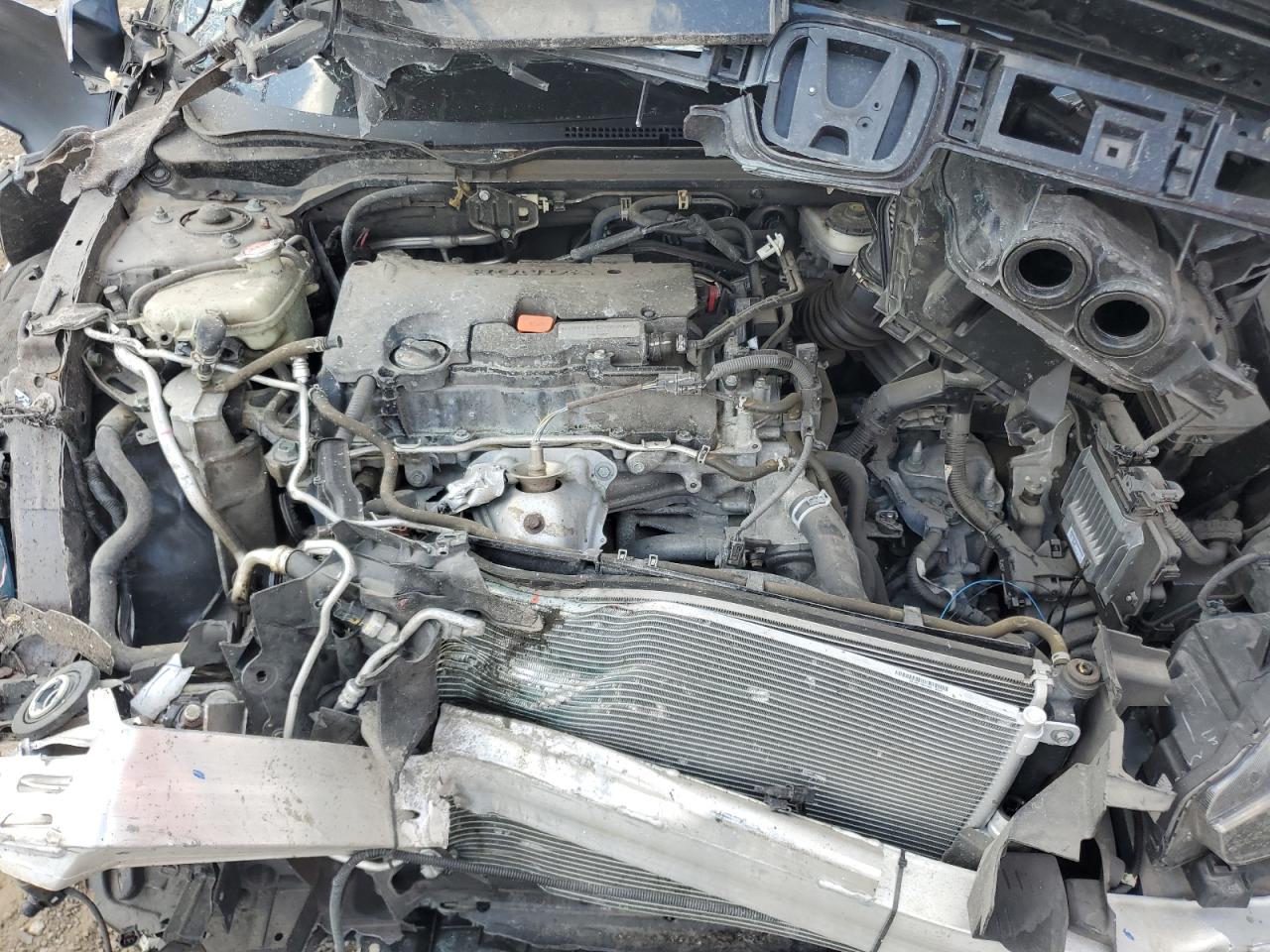 2019 Honda Civic Lx VIN: 2HGFC4B6XKH300994 Lot: 63433885