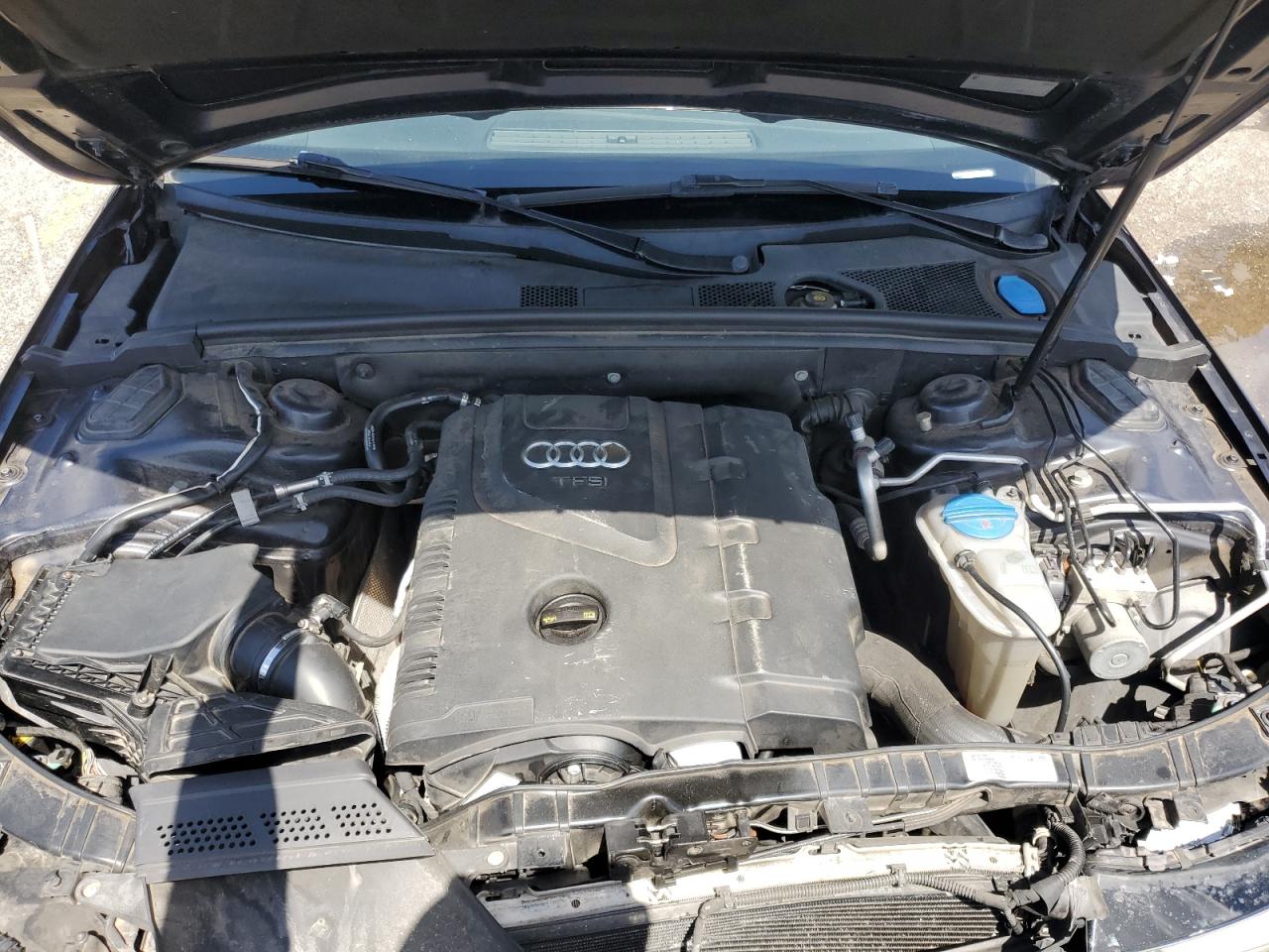2014 Audi A4 Premium Plus VIN: WAUFFAFL1EN026498 Lot: 64419555