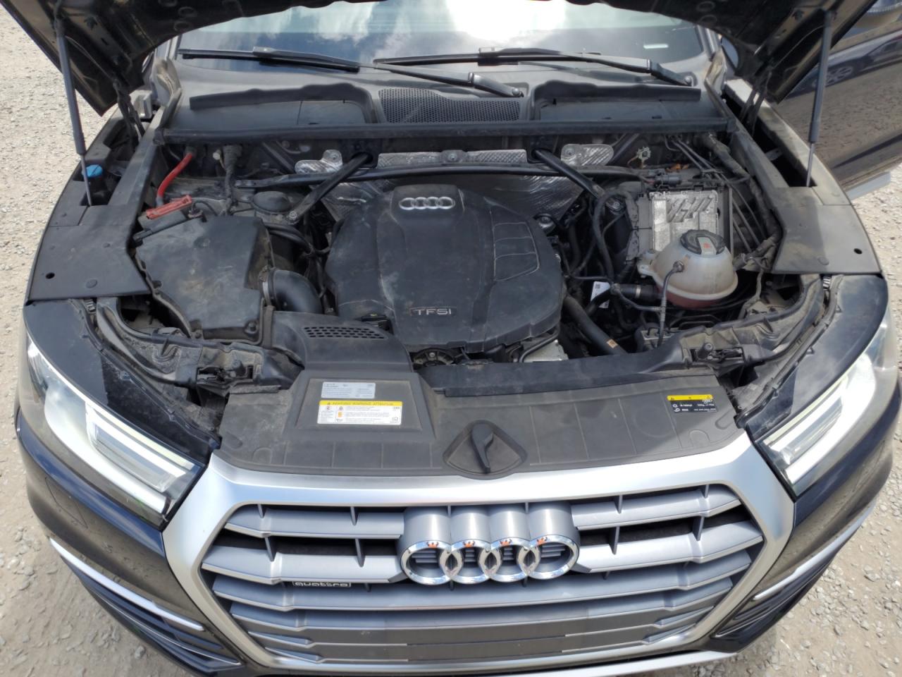 2018 Audi Q5 Premium VIN: WA1ANAFY6J2116795 Lot: 63469185