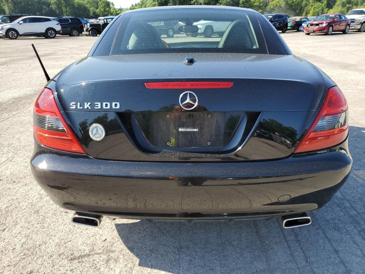 2009 Mercedes-Benz Slk 300 VIN: WDBWK54FX9F210355 Lot: 62992815