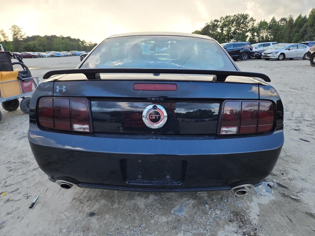 2009 Ford Mustang Gt VIN: 1ZVHT82H195144066 Lot: 64445895
