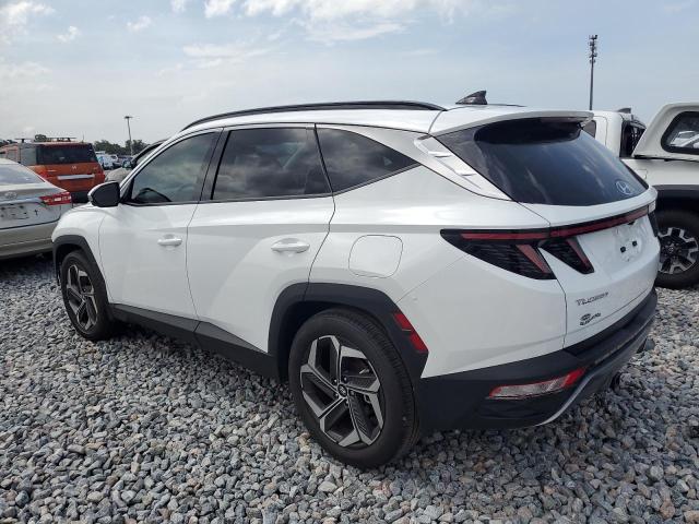  HYUNDAI TUCSON 2023 White