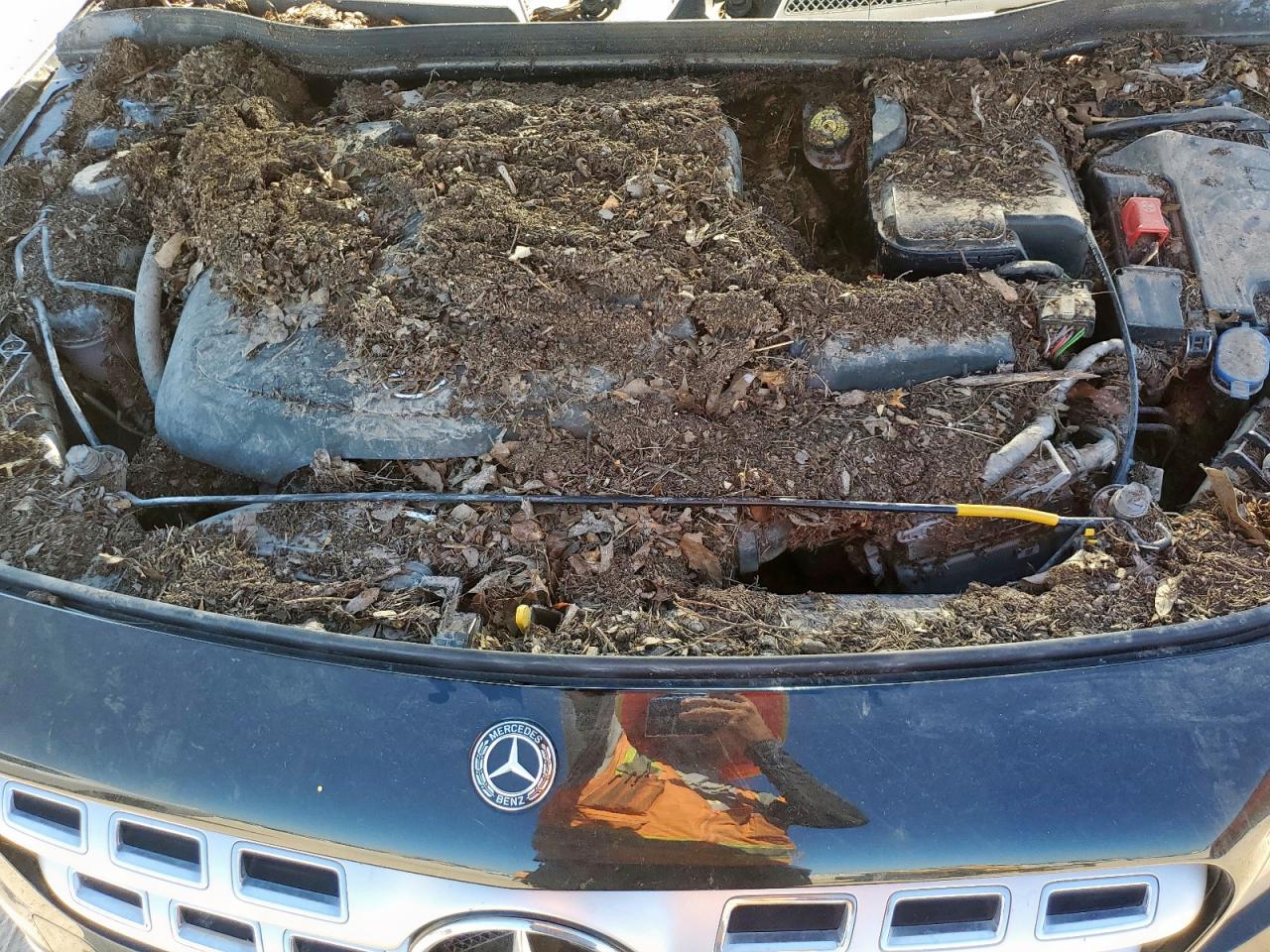wdctg4eb7ku000450 WDCTG4EB7KU000450 2019 Mercedes-Benz Gla 250