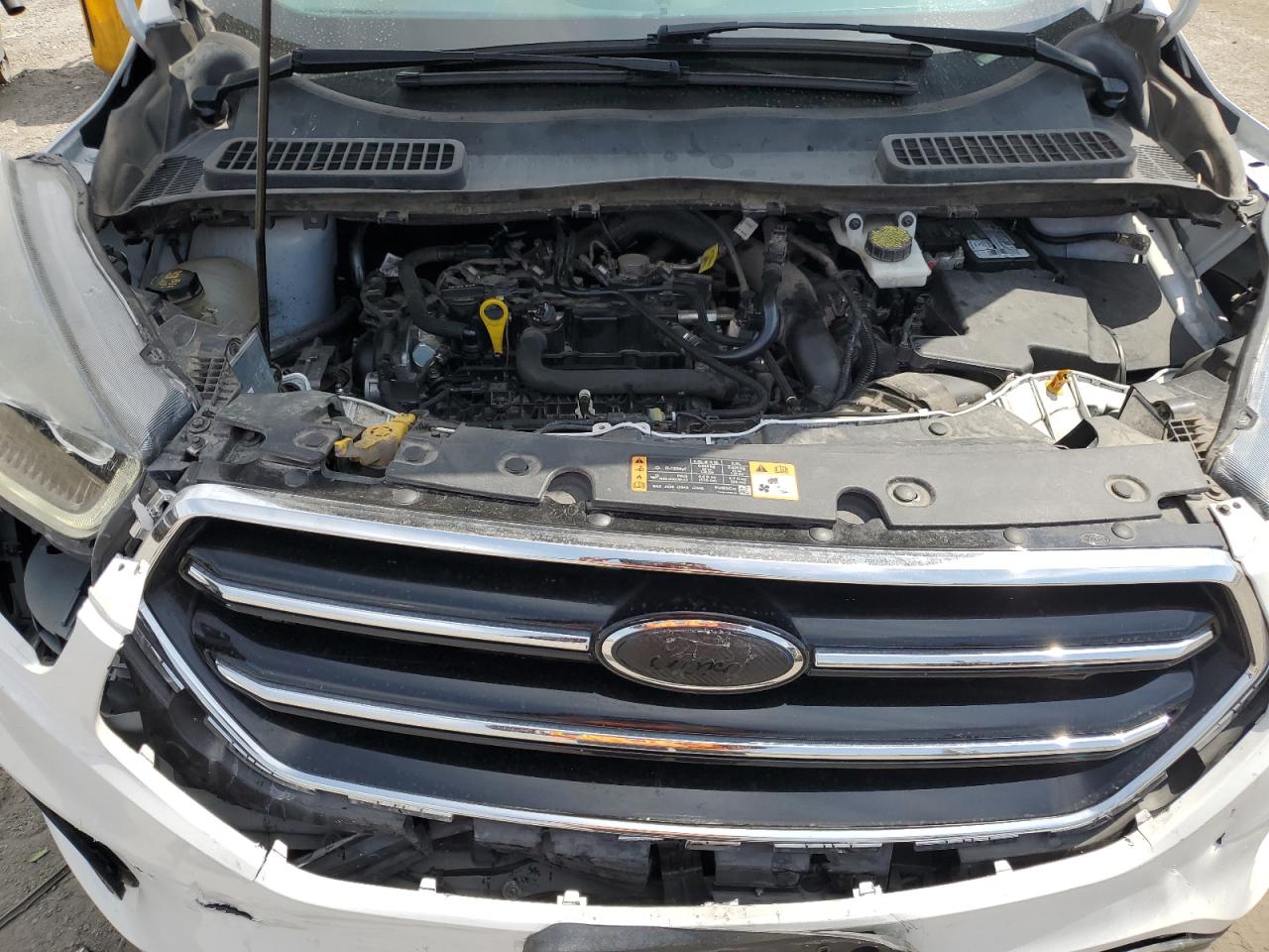 2019 Ford Escape Se VIN: 1FMCU0GD8KUA42031 Lot: 65472275