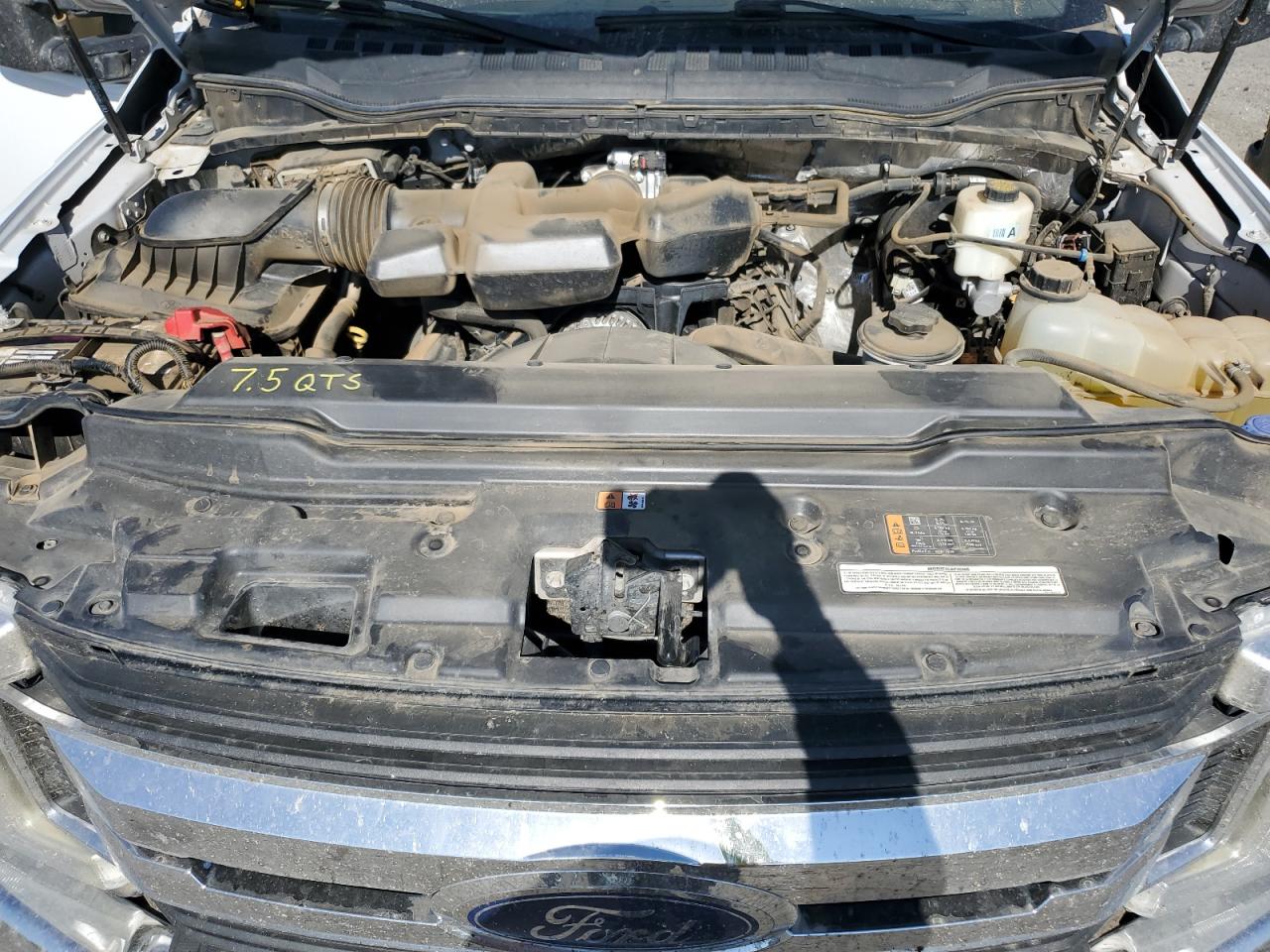 2019 Ford F250 Super Duty VIN: 1FT7W2B69KED67558 Lot: 62776435
