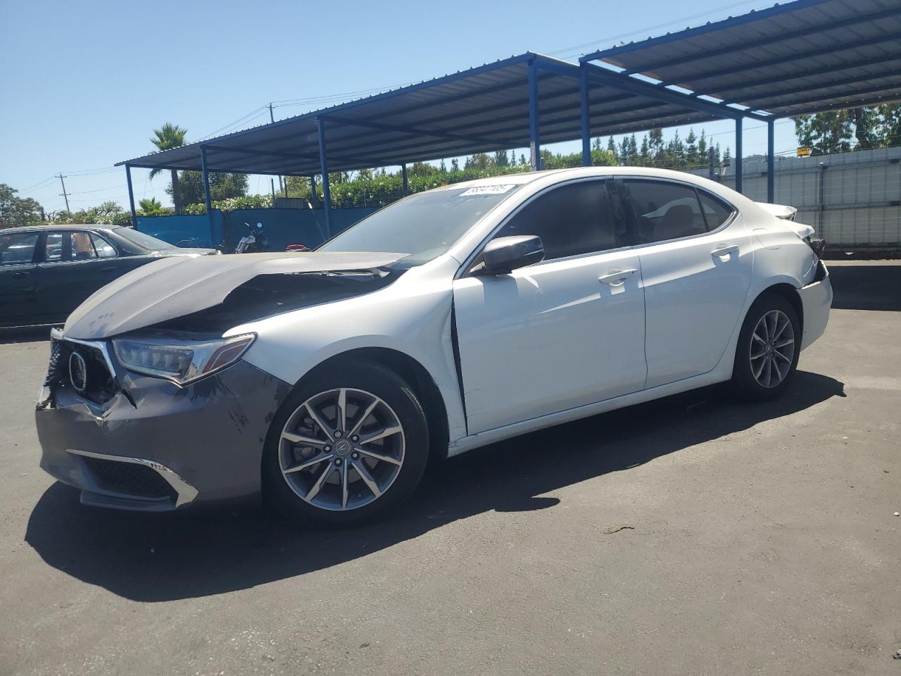 19uub1f33ka001189 19UUB1F33KA001189 2020 Acura Tlx
