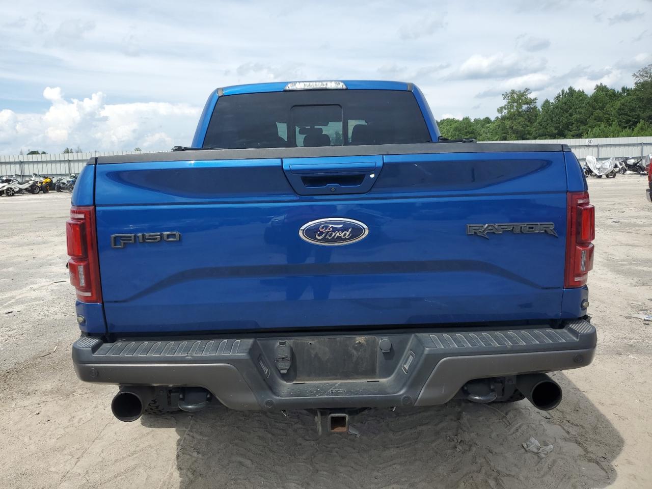 2017 Ford F150 Raptor VIN: 1FTFW1RG0HFB61276 Lot: 67124775