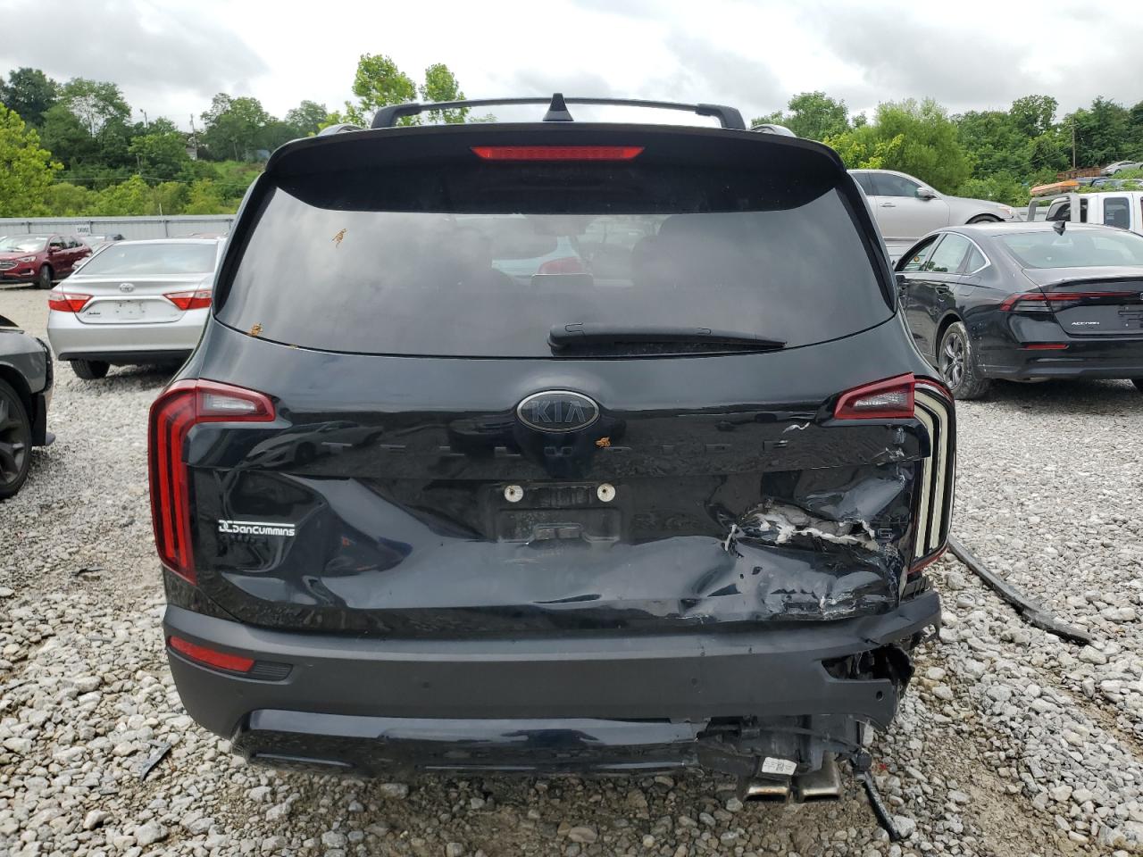 2021 Kia Telluride Ex VIN: 5XYP3DHC3MG107300 Lot: 65063035