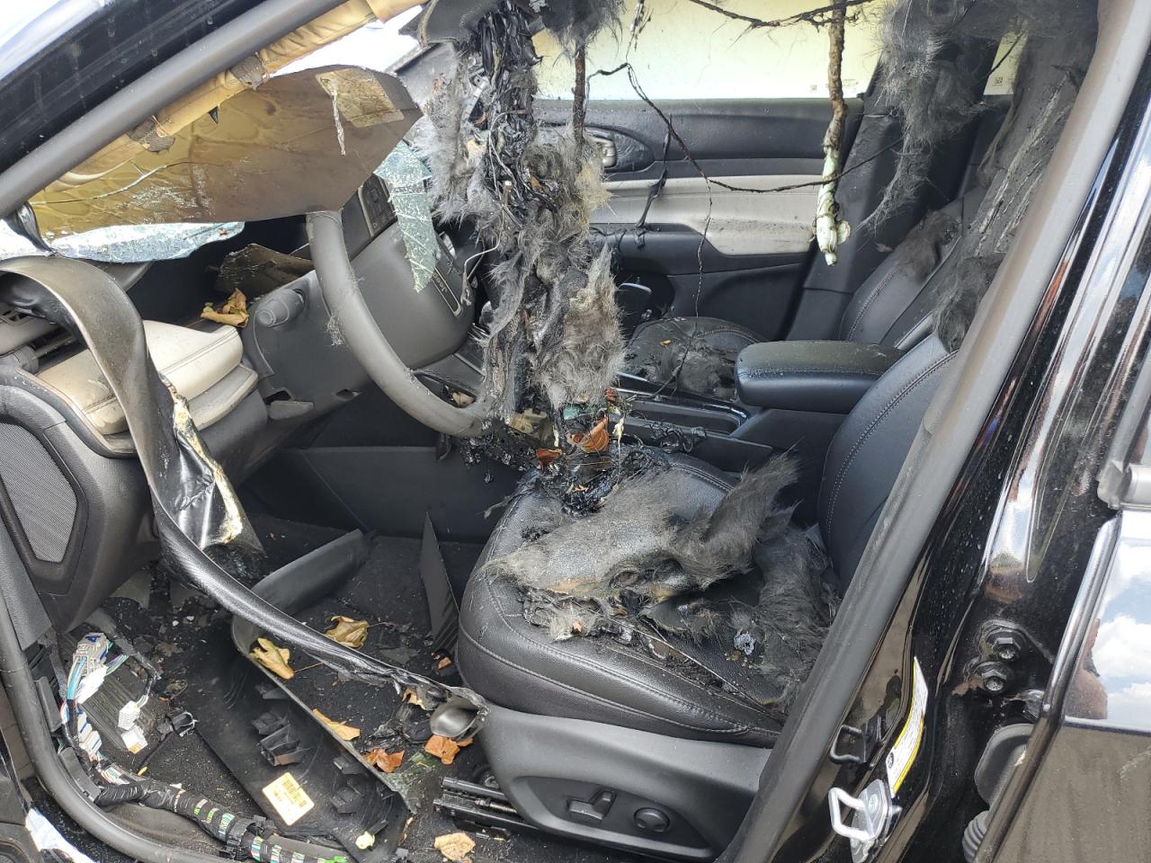 2023 Jeep Compass Limited VIN: 3C4NJDCN4PT520796 Lot: 63484985