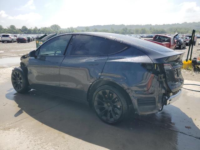  TESLA MODEL Y 2024 Szary