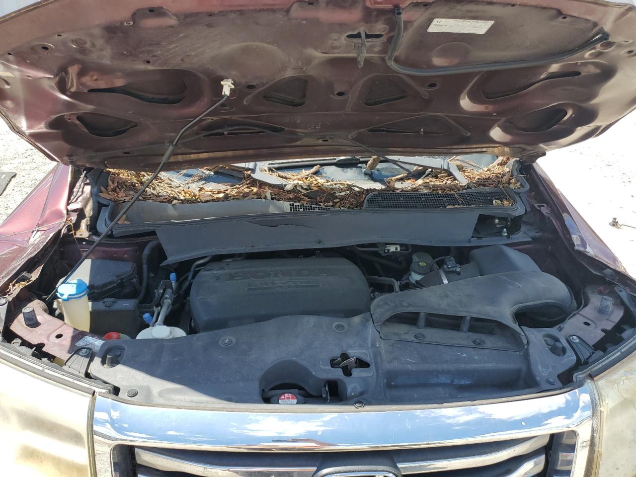 2014 Honda Pilot Exl VIN: 5FNYF3H67EB003675 Lot: 66914065