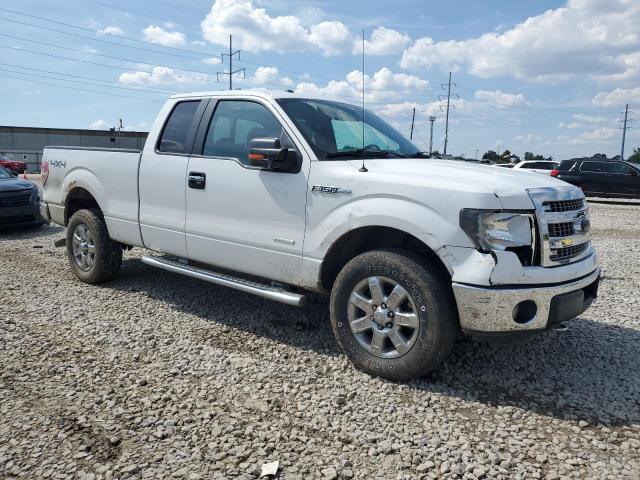 FORD F-150 2013 White