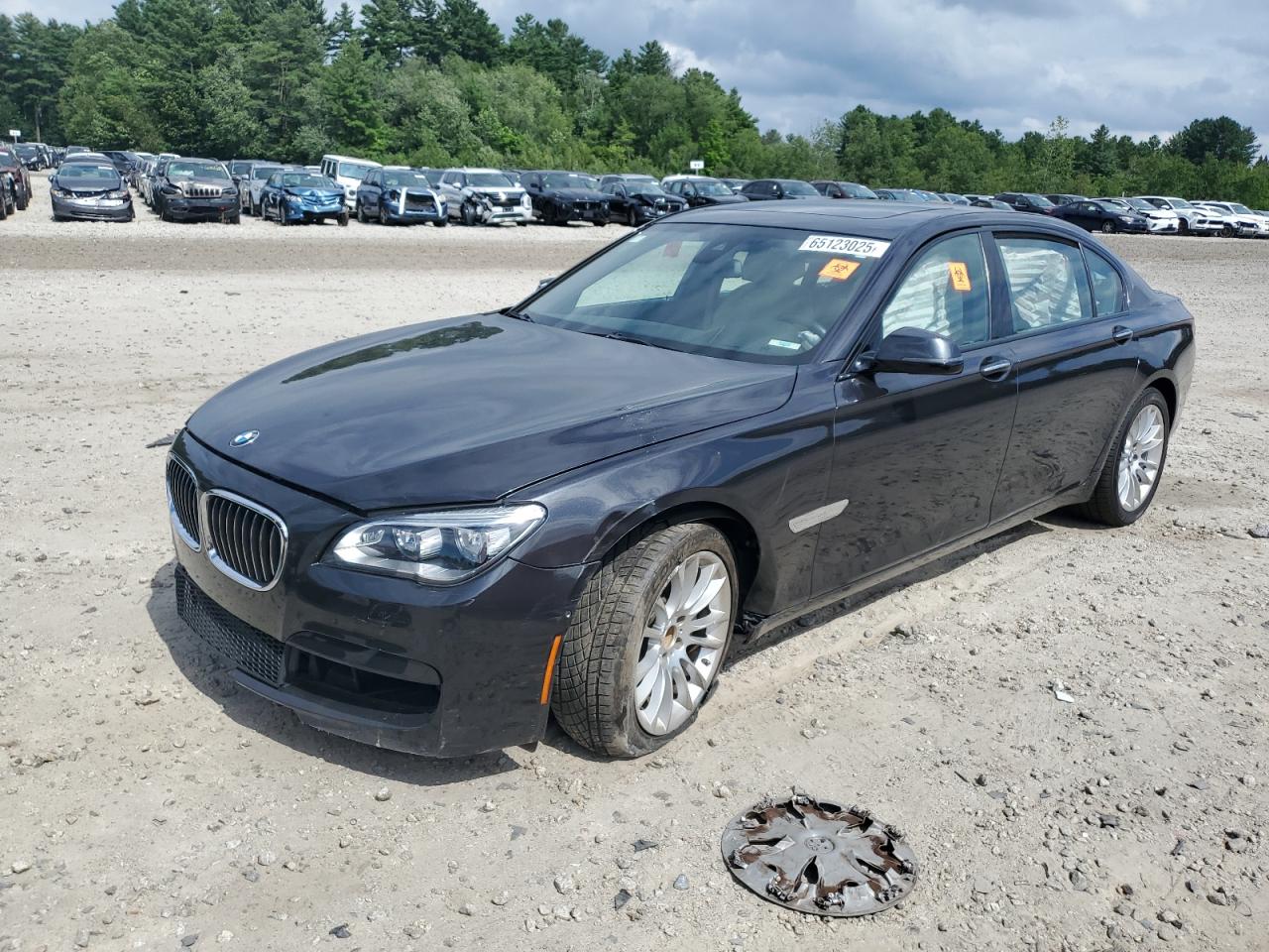 2014 BMW 750 Li VIN: WBAYE8C51ED135544 Lot: 65123025